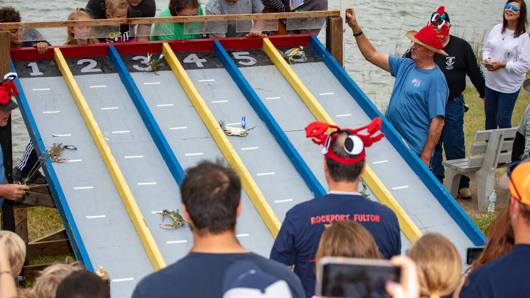 crab racing