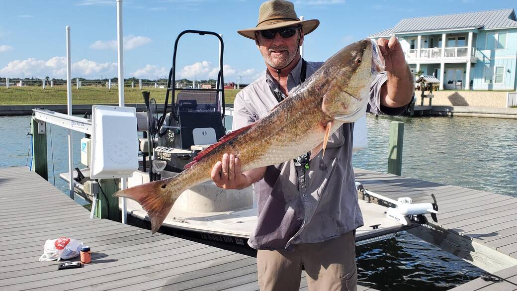 Redfish